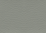 dove gray